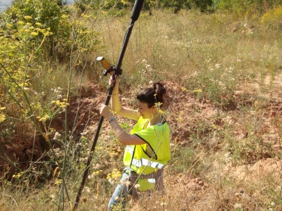 Topografía